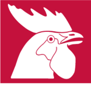 HOROZ LOJİSTİK logo
