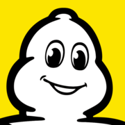 MICHELIN logosu