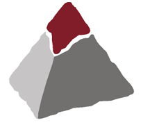 TEPE logo